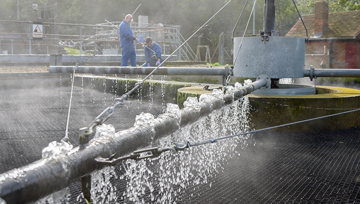 How to avoid wasting wastewater